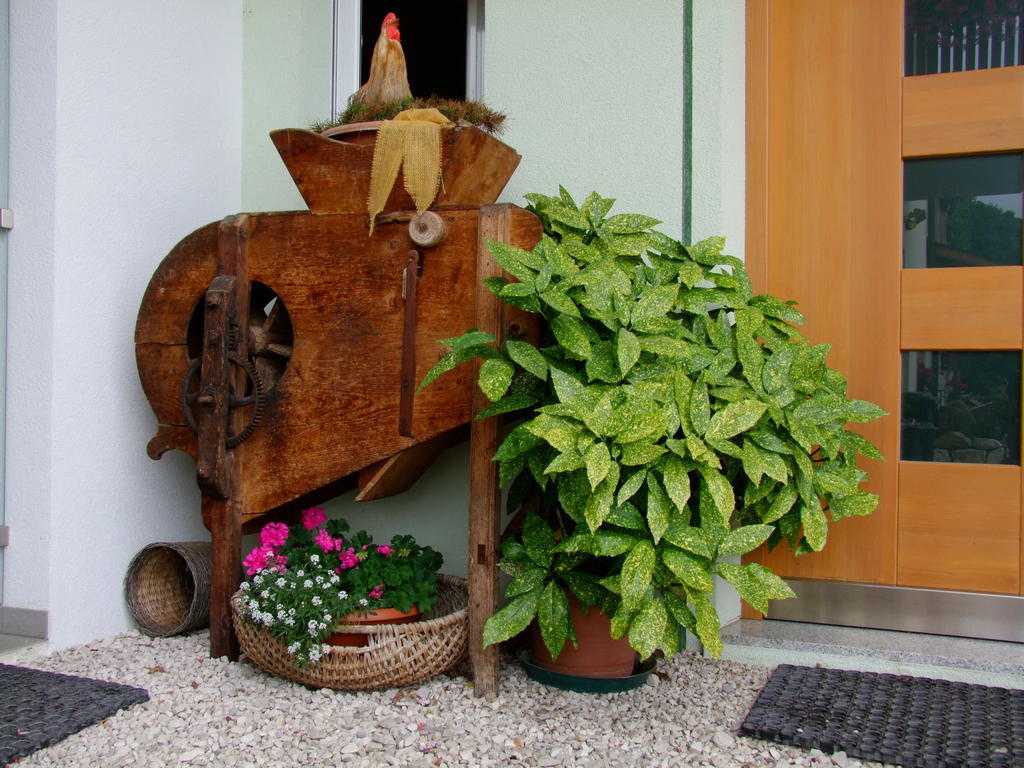 Kerschbamerhof Im Sueden Suedtirols Cortaccia Εξωτερικό φωτογραφία